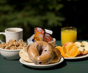 Breakfast Included Glacier Mountain Lodge-BC