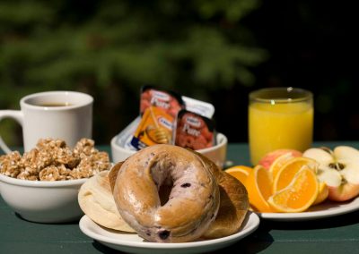 Breakfast Included Glacier Mountain Lodge-BC